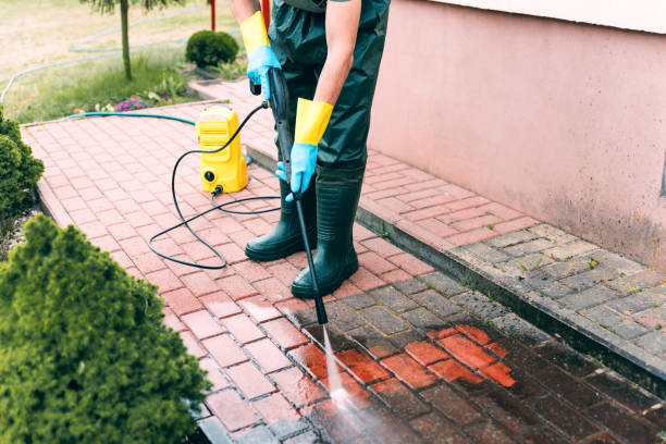 Best Driveway Pressure Washing  in Springfield, GA