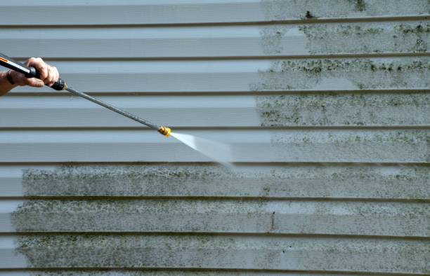 Paint Preparation in Springfield, GA